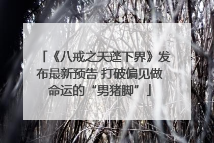 《八戒之天蓬下界》发布最新预告 打破偏见做命运的“男猪脚”