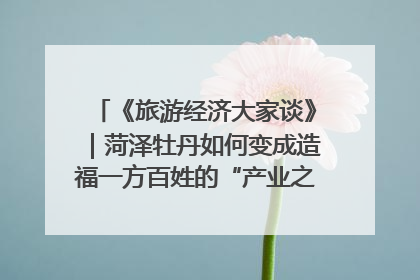 《旅游经济大家谈》｜菏泽牡丹如何变成造福一方百姓的“产业之花”“富民之花”？