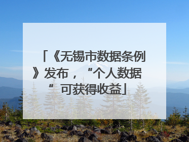 《无锡市数据条例》发布，“个人数据”可获得收益