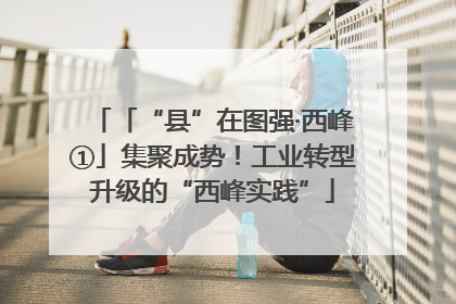 「“县”在图强·西峰①」集聚成势！工业转型升级的“西峰实践”