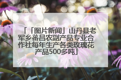 「图片新闻」山丹县老军乡蕃昌农副产品专业合作社每年生产各类玫瑰花产品500多吨