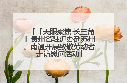 「天眼聚焦·长三角」贵州省驻沪办赴苏州、南通开展致敬劳动者走访慰问活动