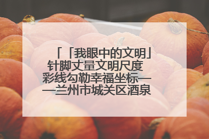 「我眼中的文明」针脚丈量文明尺度 彩线勾勒幸福坐标——兰州市城关区酒泉路街道办事处