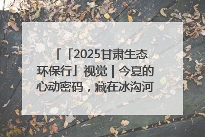 「2025甘肃生态环保行」视觉｜今夏的心动密码，藏在冰沟河的潋滟波光里