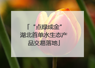 “点绿成金” 湖北首单水生态产品交易落地