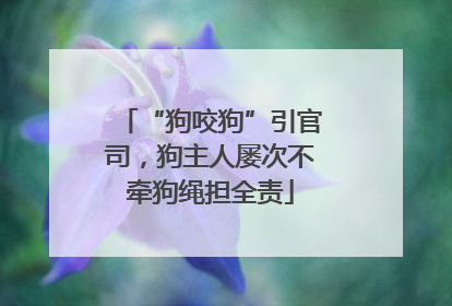 “狗咬狗”引官司，狗主人屡次不牵狗绳担全责