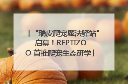 “瑞皮爬宠魔法驿站” 启幕！REPTIZOO 首推爬宠生态研学