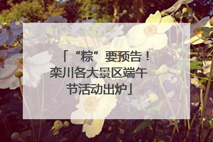 “粽”要预告！栾川各大景区端午节活动出炉