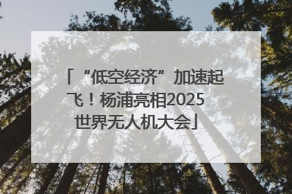 “低空经济”加速起飞！杨浦亮相2025世界无人机大会