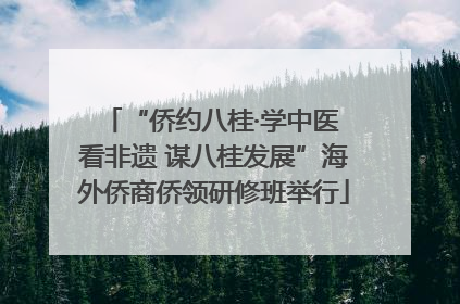 “侨约八桂·学中医 看非遗 谋八桂发展”海外侨商侨领研修班举行