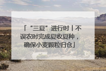 “三夏”进行时丨不误农时完成夏收夏种，确保小麦颗粒归仓