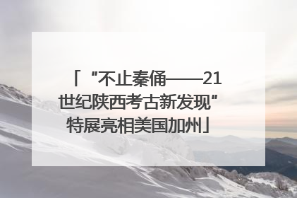 “不止秦俑——21世纪陕西考古新发现”特展亮相美国加州