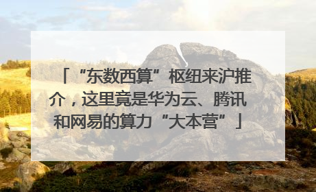 “东数西算”枢纽来沪推介，这里竟是华为云、腾讯和网易的算力“大本营”