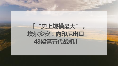 “史上规模最大”，埃尔多安：向印尼出口48架第五代战机