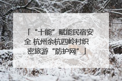 “十能”赋能民宿安全 杭州余杭四岭村织密旅游“防护网”