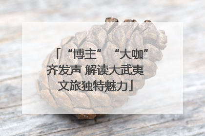 “博主”“大咖”齐发声 解读大武夷文旅独特魅力