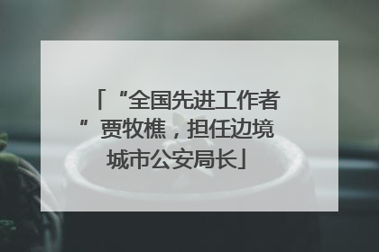 “全国先进工作者”贾牧樵，担任边境城市公安局长
