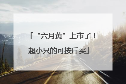 “六月黄”上市了！超小只的可按斤买