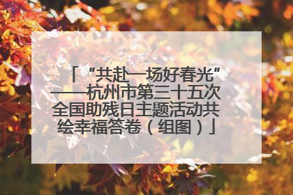 “共赴一场好春光”——杭州市第三十五次全国助残日主题活动共绘幸福答卷（组图）