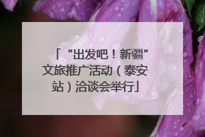 “出发吧！新疆”文旅推广活动（泰安站）洽谈会举行