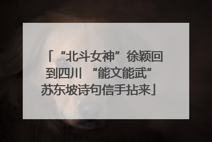 “北斗女神”徐颖回到四川 “能文能武”苏东坡诗句信手拈来