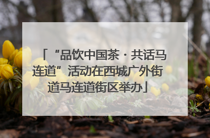 “品饮中国茶・共话马连道”活动在西城广外街道马连道街区举办