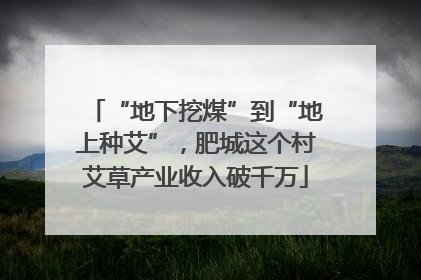 “地下挖煤”到“地上种艾”，肥城这个村艾草产业收入破千万