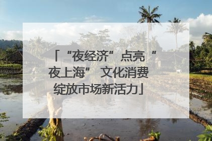 “夜经济”点亮“夜上海” 文化消费绽放市场新活力