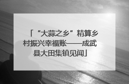 “大蒜之乡”精算乡村振兴幸福账——成武县大田集镇见闻