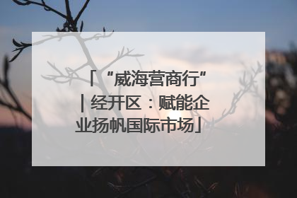 “威海营商行”｜经开区：赋能企业扬帆国际市场