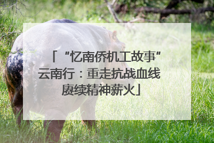 “忆南侨机工故事”云南行：重走抗战血线 赓续精神薪火