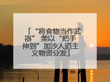 “将食物当作武器” 美以“把手伸到”加沙人道主义物资分发