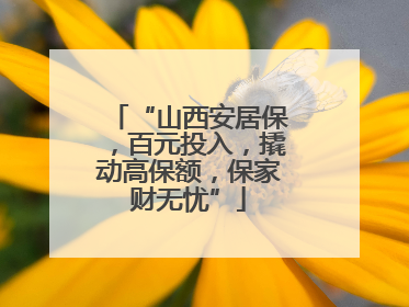 “山西安居保，百元投入，撬动高保额，保家财无忧”