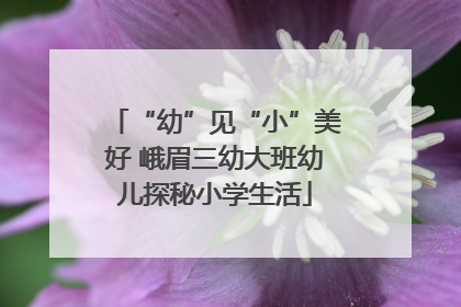 “幼”见“小”美好 峨眉三幼大班幼儿探秘小学生活