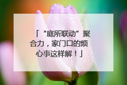 “庭所联动”聚合力，家门口的烦心事这样解！