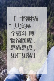 “招财猫”其实是一个熨斗 博物馆回应：是猫是虎，见仁见智