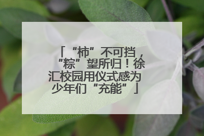 “柿”不可挡，“粽”望所归！徐汇校园用仪式感为少年们“充能”