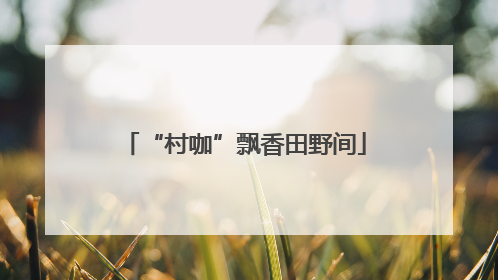 “村咖”飘香田野间