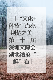 “文化+科技”点亮荆楚之美 第二十一届深圳文博会湖北馆抢“鲜”看