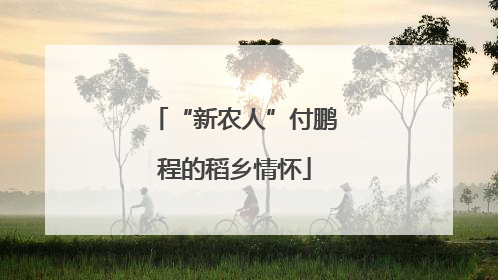 “新农人”付鹏程的稻乡情怀