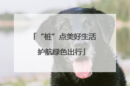 “桩”点美好生活 护航绿色出行