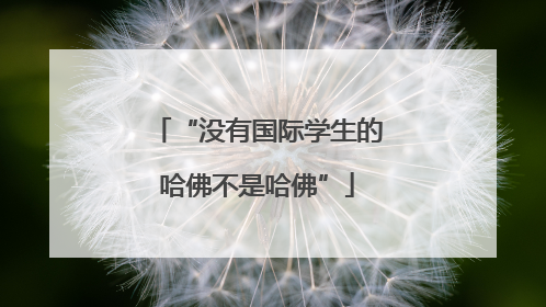 “没有国际学生的哈佛不是哈佛”