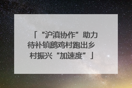 “沪滇协作”助力待补镇鹧鸡村跑出乡村振兴“加速度”