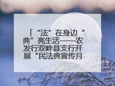 “法”在身边“典”亮生活——农发行双峰县支行开展“民法典宣传月”活动