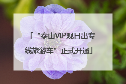 “泰山VIP观日出专线旅游车”正式开通