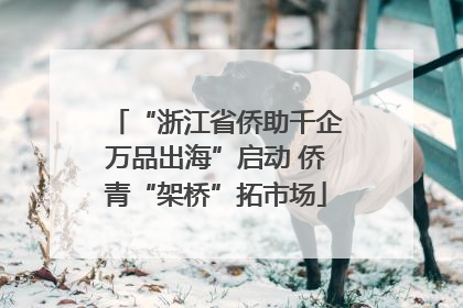 “浙江省侨助千企万品出海”启动 侨青“架桥”拓市场