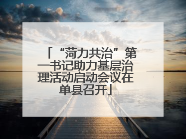 “菏力共治”第一书记助力基层治理活动启动会议在单县召开
