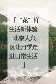 “花”样生活新体验 北京大兴区让月季走进日常生活