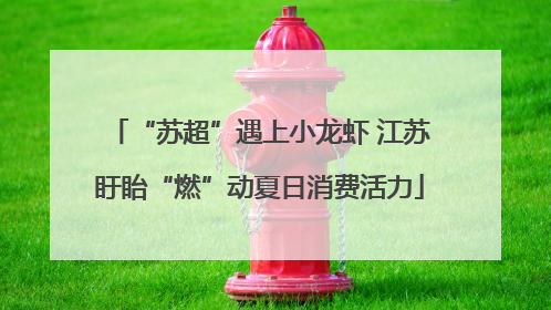 “苏超”遇上小龙虾 江苏盱眙“燃”动夏日消费活力