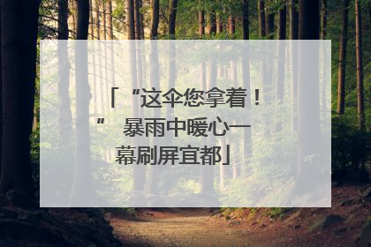“这伞您拿着！” 暴雨中暖心一幕刷屏宜都